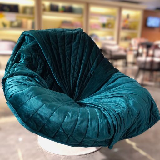 Leisure Chair (BP1163B)